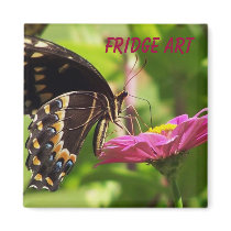 Fridge Art magnets