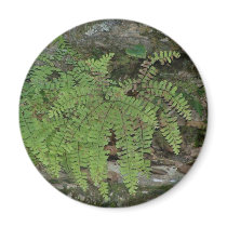 Fridge Fern magnets by Renn_Fare Fridge Fern magnets
