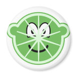Lime buddy icon   fridge_magents_magnet