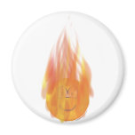 Emoticon on fire   fridge_magents_magnet