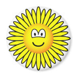 Sunflower emoticon   fridge_magents_magnet