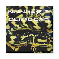 Fridge Magnet by theherpclinic Fridge Magnet