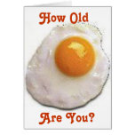 Fried Eggs cards