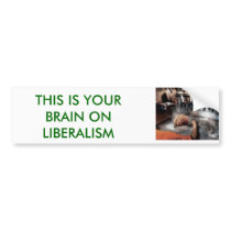 FRIED, THIS IS YOUR BRAIN ON LIBERALISM BUMPER STICKERS