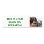 FRIED, THIS IS YOUR BRAIN ON LIBERALISM BUMPER STICKERS