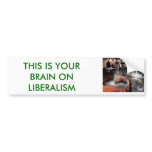 FRIED, THIS IS YOUR BRAIN ON LIBERALISM BUMPER STICKERS