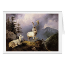 Friedrich Gauermann - Damwild (Fallow Deer), 1833 Greeting Cards