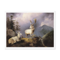 Friedrich Gauermann - Damwild (Fallow Deer), 1833 Postcard