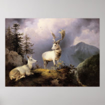 Friedrich Gauermann - Damwild (Fallow Deer), 1833 Posters