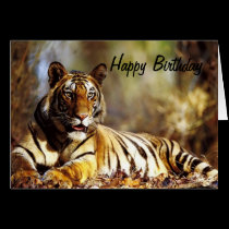 Friend  Birthday Card cards