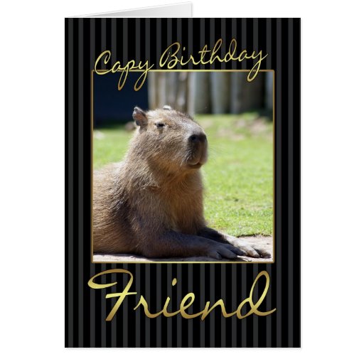 Friend Birthday Card With Capybara | Zazzle