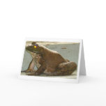 Friend Bull Frog