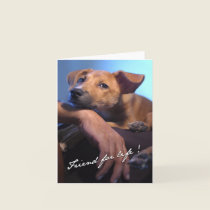 Friend For Life Note Card