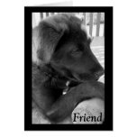 Friend Greeting Card