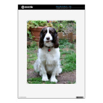 Friend of Hank iPad Cover Skins For The Ipad