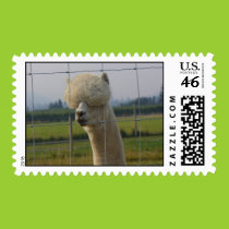 Friendly alpaca postage postage
