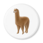 Friendly Brown Alpaca Magnet