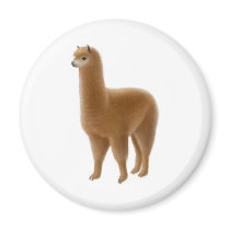 Friendly Brown Alpaca Magnet