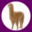 Friendly Brown Alpaca Sticker