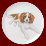 Friendly Cavalier King Charles Spaniel Plate plates