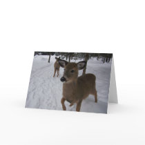 friendly deer cards