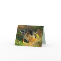 Friendly Duck Note Card
