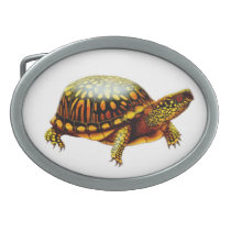 Friendly Eastern Box Turtle Belt Buckle