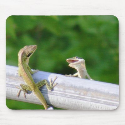 Friendly Encounters Mouse Mats by femsista
