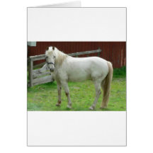FRIENDLY HORSE CARD