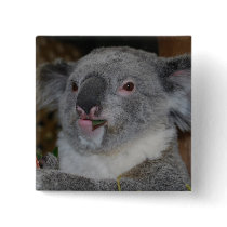 Friendly Koala Button