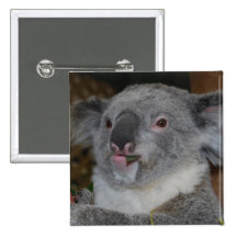 Friendly Koala Button
