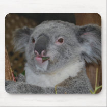 Friendly Koala Mousepad