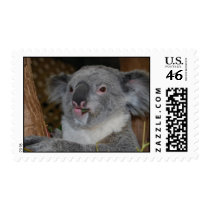 Friendly Koala Postage postage