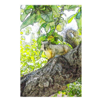Friendly Neighborhood Squirrel