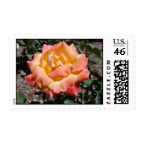 Friendly Rose stamps