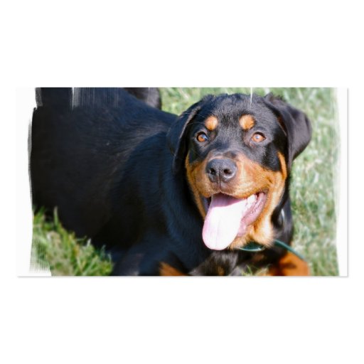 Friendly Rottweiler Dog Business Card (back side)
