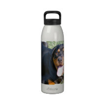 Friendly Rottweiler Water Bottle