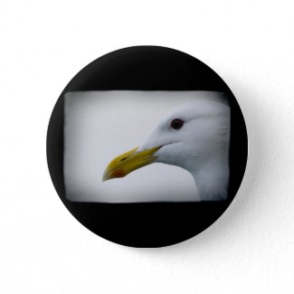 Friendly Seagull? Button