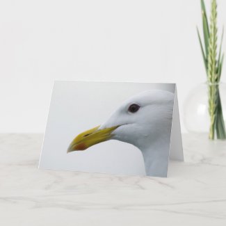 Friendly Seagull? Greeting Cards