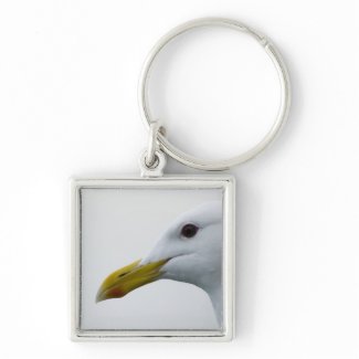 Friendly Seagull? Keychain