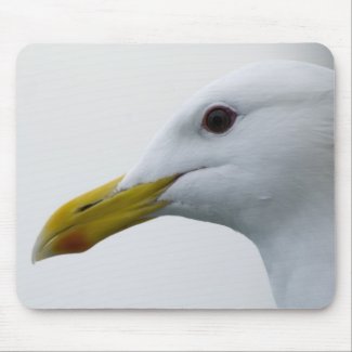 Friendly Seagull? Mousepad