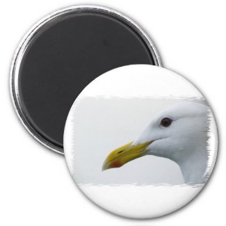 Friendly Seagull? Refrigerator Magnet