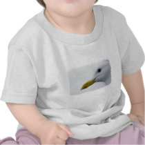 Friendly Seagull? t-shirts
