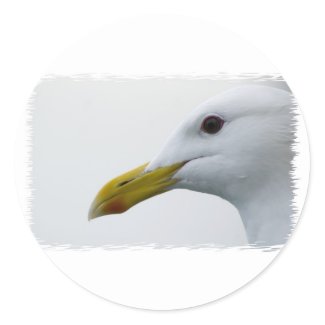 Friendly Seagull? Sticker