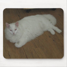 Friendly Turkish Angora Cat Mousepad