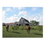 Friendly Welcome Post Cards