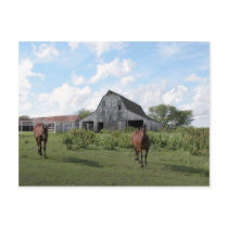Friendly Welcome postcards