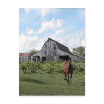 Friendly Welcome postcards