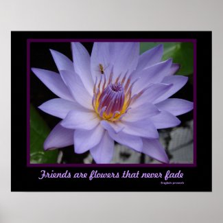 Friends are Flowers Friendship Purple Water Lily