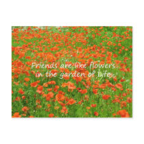 Friends Are Like Flowers postcards